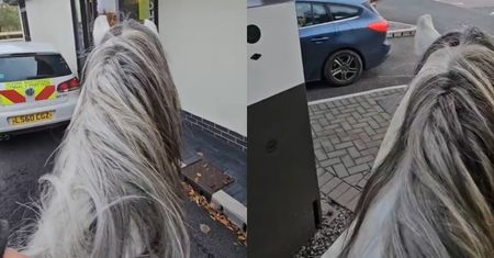 Na koniu pojechał do McDonald's. Chciał sprawdzić, czy go obsłużą