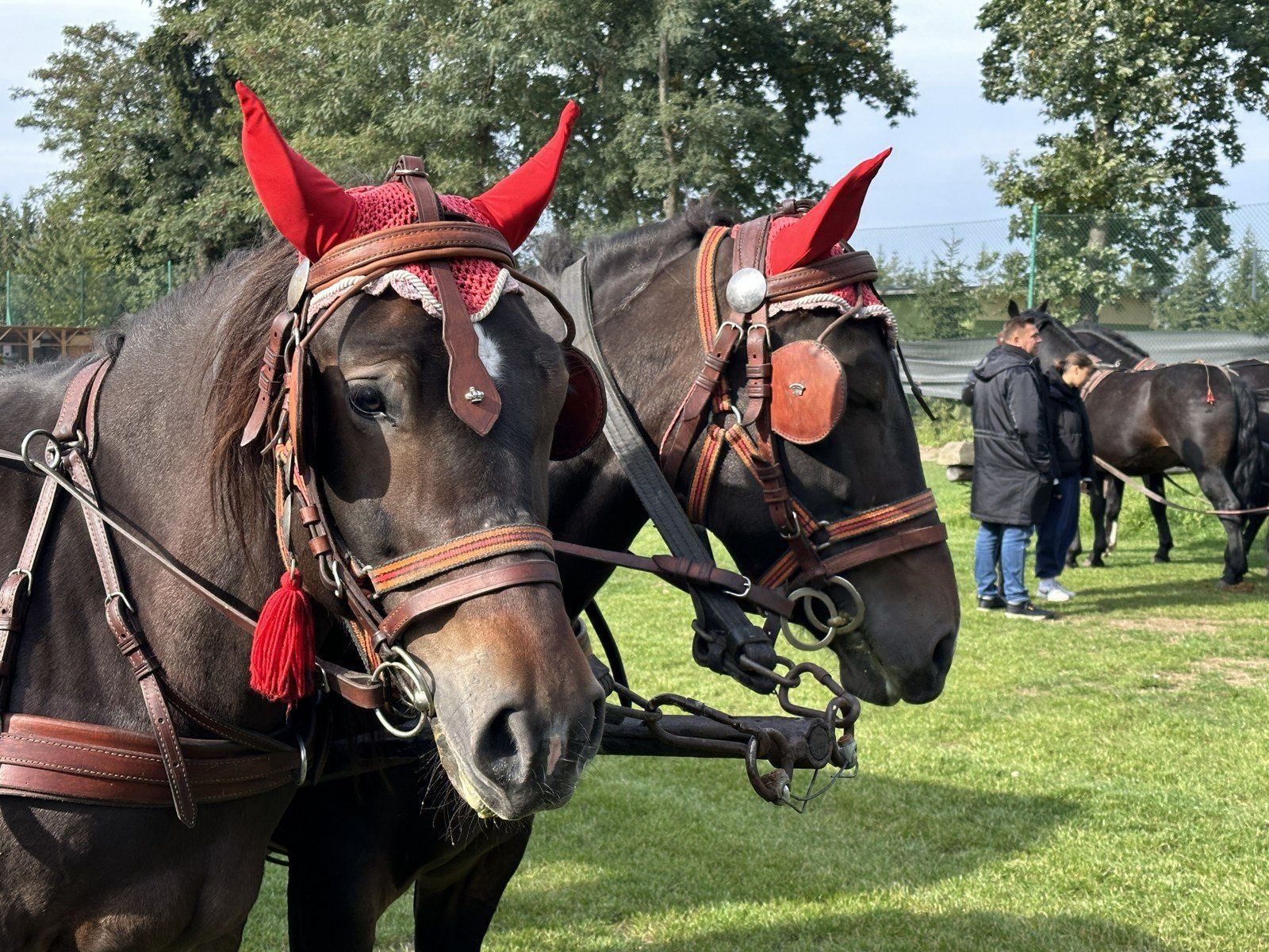 Hubertus w Wilkowicach