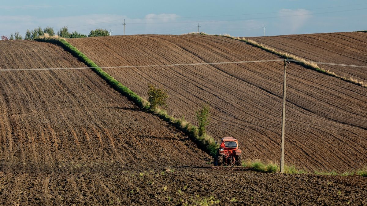 Stock ArZifot: Arkadiusz Ziolek/ East News. Lubelskie, gmina Krynice 05.10.2021.    n/z Traktor w czasie prac polowych.ARKADIUSZ ZIOLEK