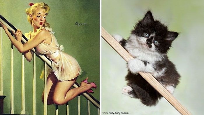Koty, które pozują jak dziewczyny pin-up z dawnych amerykańskich plakatów 11