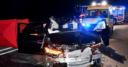 Groźne zderzenie z łosiem. Kierowca jest ciężko ranny