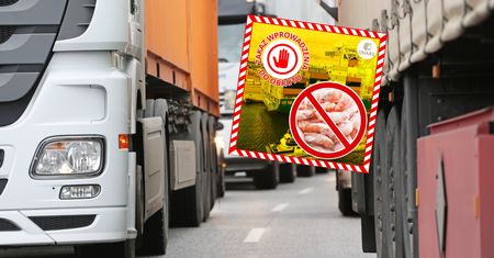 Zatrzymali ponad 19 tys. kg krewetek. To jechało do nas z Indii