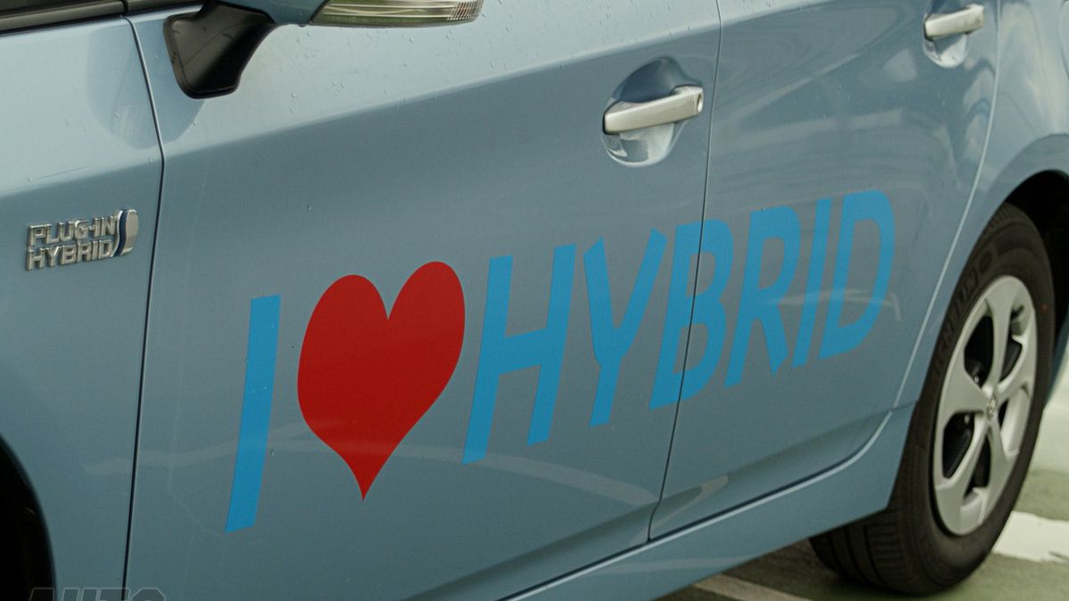 Zdjęcie ilustracyjne do artykułu