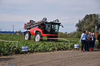 Uprawa kiedyś się opłacała. Dziś rolnicy rezygnują w całej Europie