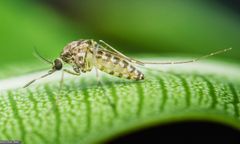 Wirus szaleje w Chinach. MSZ ostrzega podróżujących Polaków