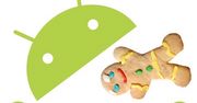 Android 2.3 Gingerbread zarezerwowany tylko dla Nexusa S
