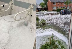 Armagedon w Holandii. Grad wylewał się z toalet