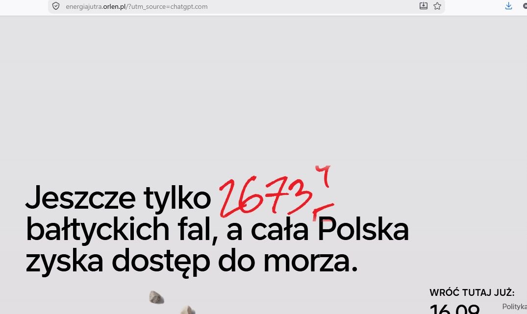 Dedykowana strona Orlenu