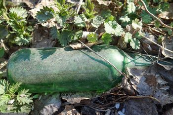 Skandaliczne zachowanie 22-latka. Uderzył przechodnia szklaną butelką
