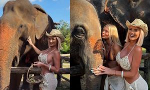 Izabela Macudzińska z córką dokarmiają słonie w Tajlandii. Fajna "zabawa"? (ZDJĘCIA)