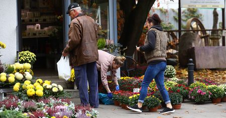 Wszystkich Świętych. Handel przy cmentarzach nawet 10 razy droższy