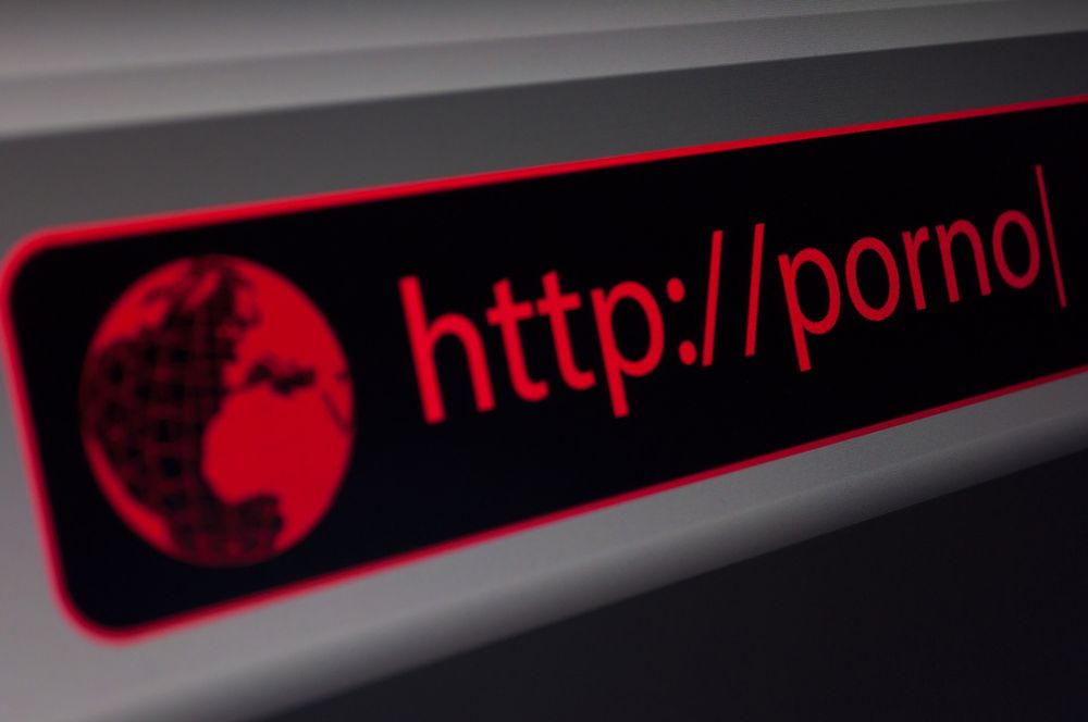 Uff, nasza wolność uratowana! Sejm rezygnuje z blokowania porno w Internecie 2
