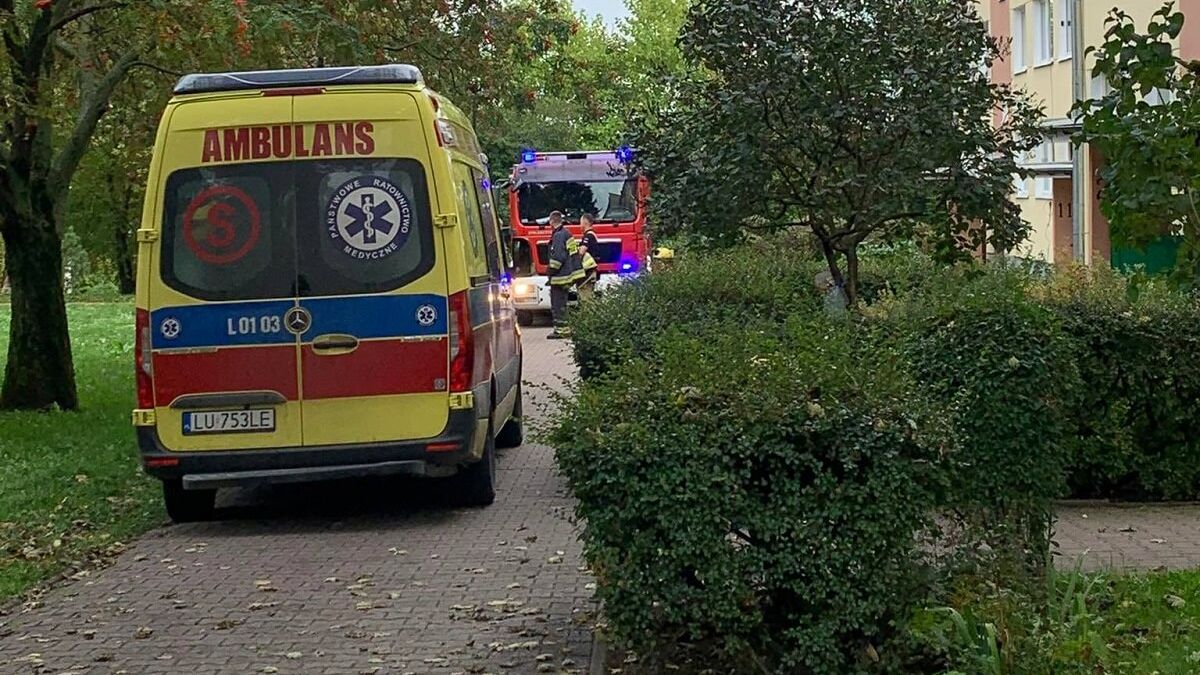 Pożar kuchni w mieszkaniu przy ul. Skołuby w Lublinie