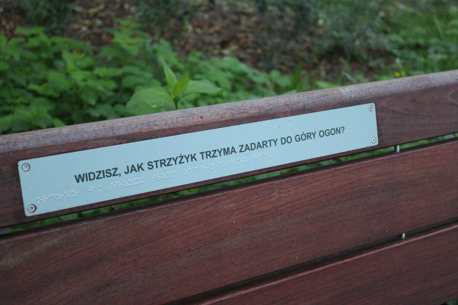 Park przy &#34;Dziekance&#34; został zrewitalizowany. Zadanie kosztowało 4,5 mln zł