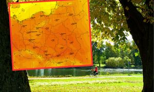 Pogoda IMGW na wiosnę i lato. Idzie eksplozja ciepła. Wskazali miesiąc