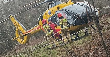 Niebezpieczny wypadek w stadninie. Koń stratował 12-latkę