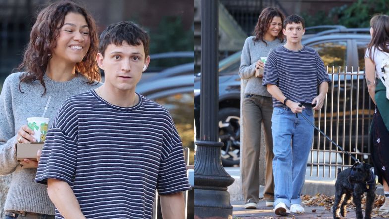 Zendaya relaxes on a walk with a dog by Tom Holland's side.