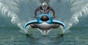 Dolphin Hydrofoil czyli wodny demon szybkości