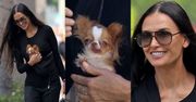 60-letnia Demi Moore maszeruje do sklepu z PSIAKIEM. Przypomina jeszcze siebie? (ZDJĘCIA)