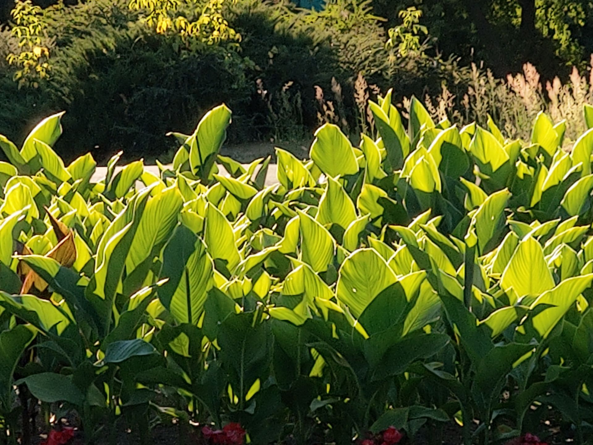 Najmocniejsze strony HTC U12+ 43