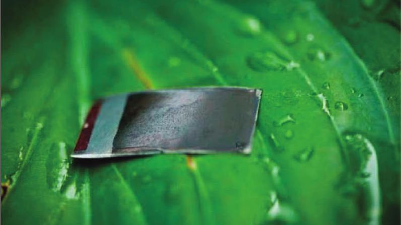 Sztuczne liście działają tak samo jak prawdziwe! 1