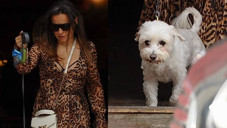 W drodze towarzyszył jej czworonożny przyjaciel