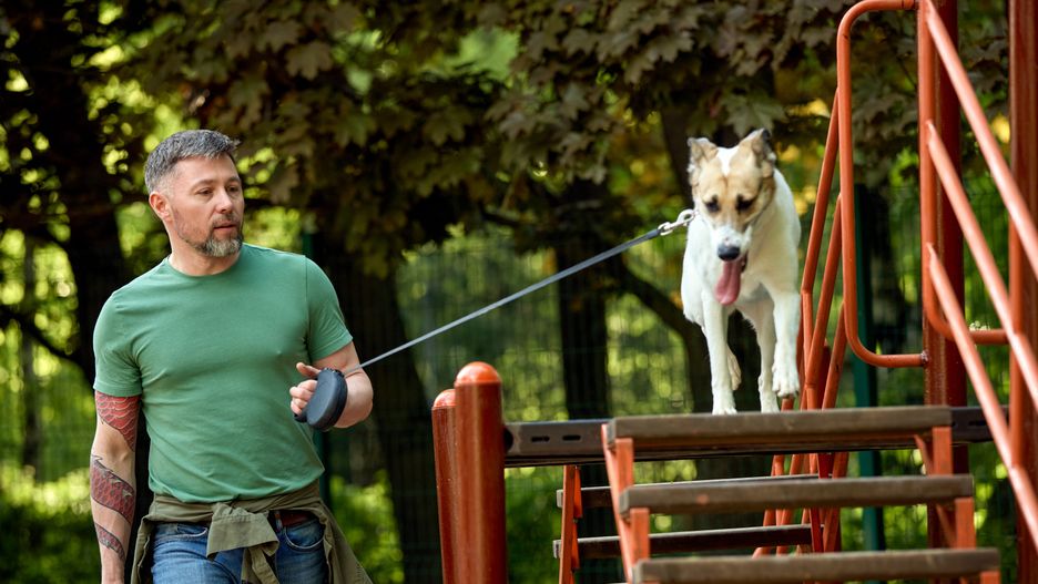Man guiding his energetic dog on an obstacle course in the park
An athletic man in casual attire walks his active dog on a leash while guiding the pet across an obstacle course in a scenic outdoor setting surrounded by nature. This image highlights fitness, outdoor leisure, companionship, and the bond between humans and their pets.
dog walking, pet leash, leash, outdoors, nature, environment, pet owner, pets, canine - animal, dog, steps and staircases, males, adult, walking, tattoo, casual clothing, healthy lifestyle, playground, lush foliage, grass area, bonding, physical activity, love - emotion, connection, human relationship, friends, friendship, outdoor pursuit, happy, cheerful, positive emotion, nature park, public park, domestic animals, affectionate, enjoying, enjoyment, animal harness, exercise equipment, active lifestyle, healthy living, relaxing, relaxation, resting, dog agility, dog handler, animal welfare, tattooing, body adornment, happiness, dog walking, pet leash, leash, outdoors, nature, environment, pet owner, pets, canine - animal, dog, steps and staircases, males, adult, walking, tattoo, casual clothing, healthy lifestyle, playground, lush foliage, grass area, bonding, physical activity, love - emotion, connection, human relationship, friends, friendship, outdoor pursuit, happy, cheerful, positive emotion, nature park, public park, domestic animals, affectionate, enjoying, enjoyment, animal harness, exercise equipment, active lifestyle, healthy living, relaxing, relaxation, resting, dog agility, dog handler, animal welfare, tattooing, body adornment, happiness