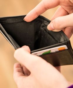 Euro w Polsce. Polska blisko spełnienia warunków, by dołączyć do strefy euro