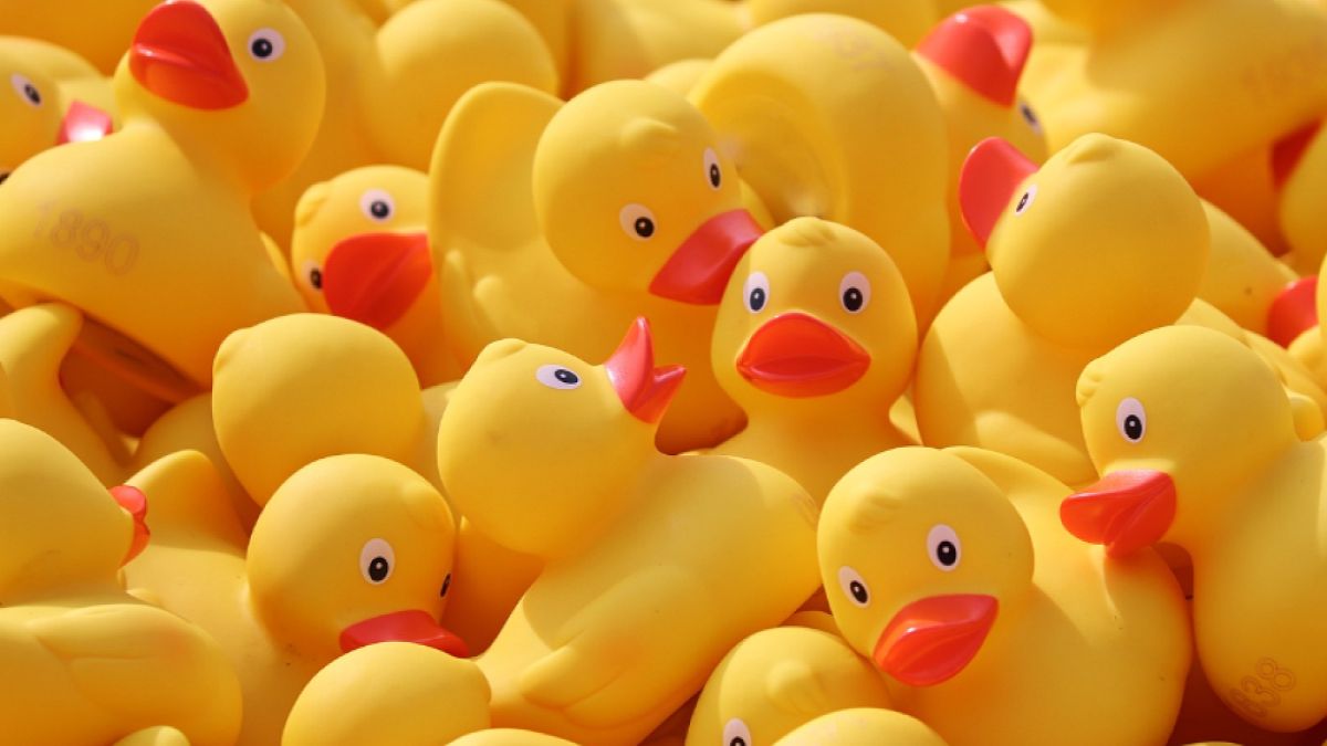 Nietypowa akcja w Rybniku