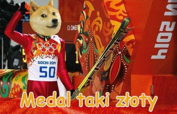 Internauci zwariowali na punkcie Kamila Stocha. Najlepsze memy z naszym mistrzem 13