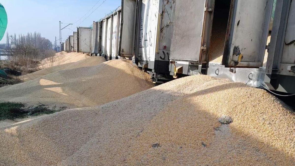 160 ton ukraińskiej kukurydzy wysypano z wagonów pociągu stojącego pod Bydgoszczą