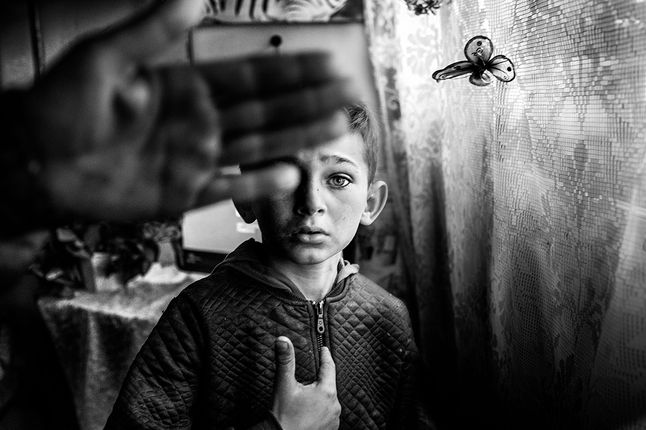 Główna nagroda za zdjęcie pojedyncze trafiła do Włocha – Pietro Di Giambattisty z Rzymu. Zaprezentował on uliczny portret bośniackiego chłopca, zatytułowany ”Gypsy Boy”. Został on wykonany podczas wesela w obozie romskim na granicy Rzymu. Ten fotograf otrzymał również pierwsze miejsce w kategorii Photojournalism.