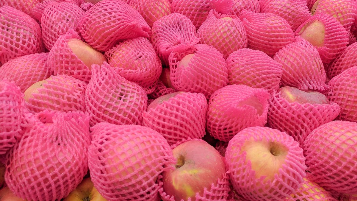 Dlaczego warto jeść jabłka?