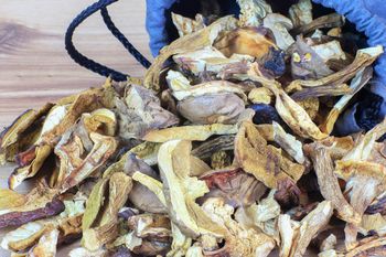 Tak szybko usuniesz piasek z suszonych grzybów. Przyda się ta przyprawa