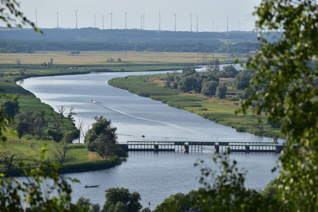 Odra widziana z Widuchowej