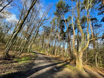Pogoda we Wrocławiu. Prognoza na wtorek 28 kwietnia. Chłodny poranek, słoneczne popołudnie
