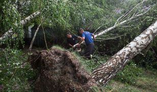 Burze nad Polską. Drzewo przewróciło się na namioty na kempingu