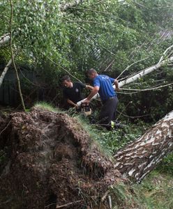 Burze nad Polską. Drzewo przewróciło się na namioty na kempingu