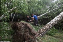 Burze nad Polską. Drzewo przewróciło się na namioty na kempingu