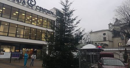 Na deptaku stanęła żywa choinka. To prezent od leśników dla lublinian