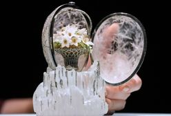 Jajo sprzedane za prawie 23 mln funtów. Padł rekord