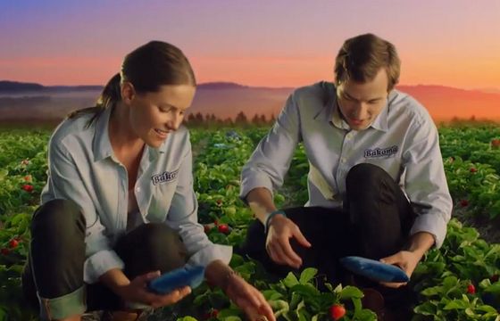 Poduszka pod truskawki i kamizelki dla krów reklamują jogurty Bakoma Premium Gold (wideo)