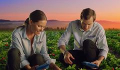 Poduszka pod truskawki i kamizelki dla krów reklamują jogurty Bakoma Premium Gold (wideo)