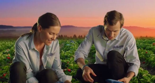 Poduszka pod truskawki i kamizelki dla krów reklamują jogurty Bakoma Premium Gold (wideo)