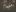 420596369134147400