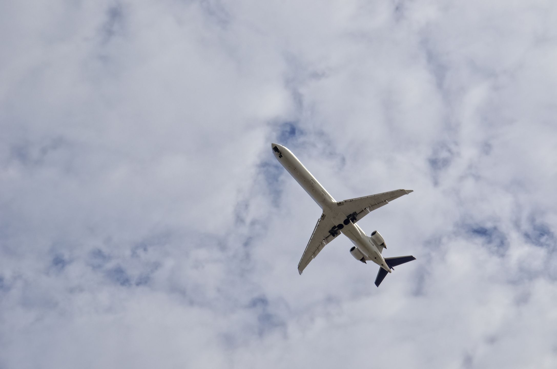 AIRPLANE IN THE SKY - SAMOLOT NA NIEBIE
samolot, transport, lotniczy, logistyka, organizacja, przewóz, pasażerski, fracht, cargo, przelot, lotnictwo, powietrze, silniki, niebo, rejs, lot, start, kurs, termin, wygoda, podróż, towarzystwo, aero, chmury, niebieski, biznes, linie lotnicze, odrzutowiec, komercyjne, korporacja, podwozie, samolot, transport, organizacja, logistyka, lotniczy, przewóz, pasażerski, fracht, cargo, przelot, lotnictwo, powietrze, silniki, niebo, rejs, lot, start, kurs, termin, wygoda, podróż, towarzystwo, aero, chmury, niebieski, biznes, linie lotnicze, odrzutowiec, komercyjne, korporacja, podwozie, fotmart, port lotniczy, lotnisko