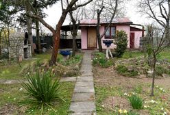 Jak kupić sobie działkę? Najtańszy sposób na cieszenie się wolnością bez konieczności spowiadania się policjantom