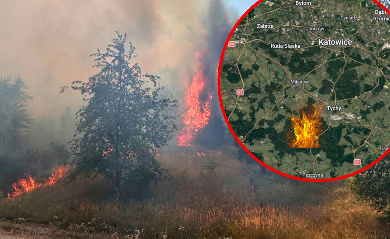 Dromader gasi pożar lasu w Kobiórze – 15 ha spalonego terenu