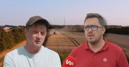 Rolnicy załamani po żniwach. „Najgorsze plony, jakie pamiętam”