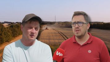 Rolnicy załamani po żniwach. „Najgorsze plony, jakie pamiętam”